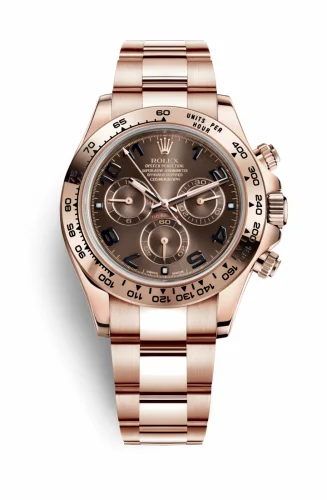 Rolex Cosmograph Daytona Everose / Chocolate 116505-0004